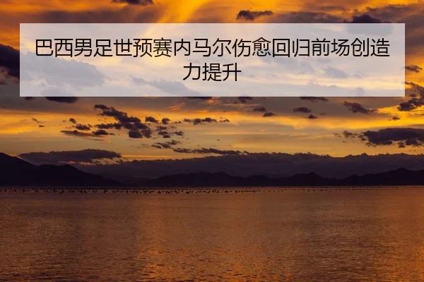 ba-xi-nan-zu-shi-yu-sai-nei-ma-er-shang-yu-hui-gui-qian-chang-chuang-zao-li-ti-sheng-1-488.jpg