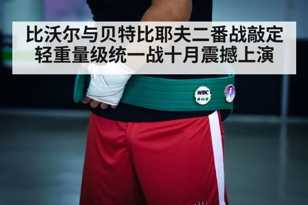 boxing championship belt